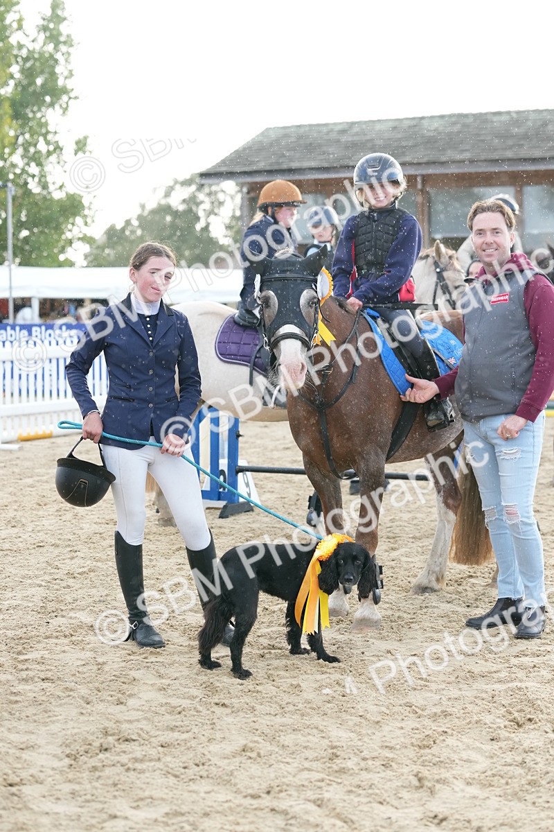 SBM_29231 - J43 - Horse & Hound Open 50cm