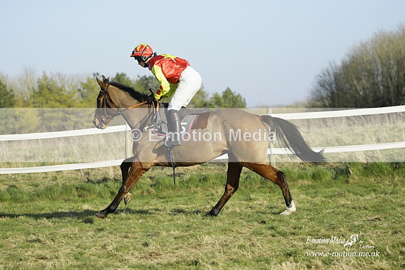 PtP 270222 458 - South & West Wilts Point-to-Point Larkhill 27/02/22