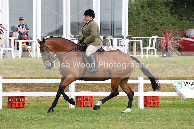 3E7A9340 - Class 4: Rising Star M/H Hunter