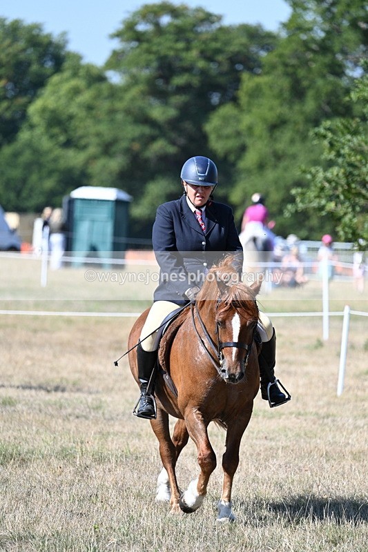WJ7_3564 - Class 9 Mountain & Moorland Ridden