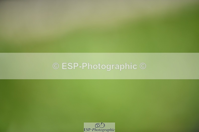 240605-140516-01088 - Cls 6 Elementary 59 SQ