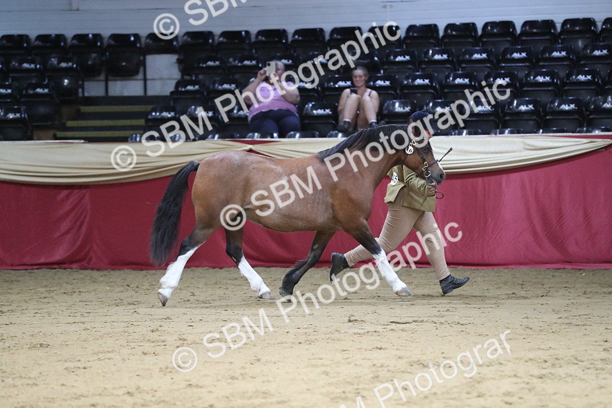 SBM_06337 - Class 9R Regional- IH Pre Vet