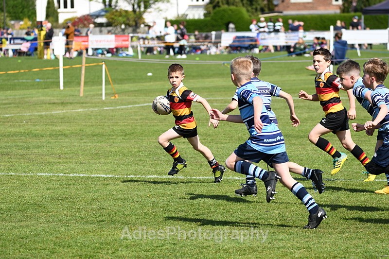  - Selby Rugby Festival 2025