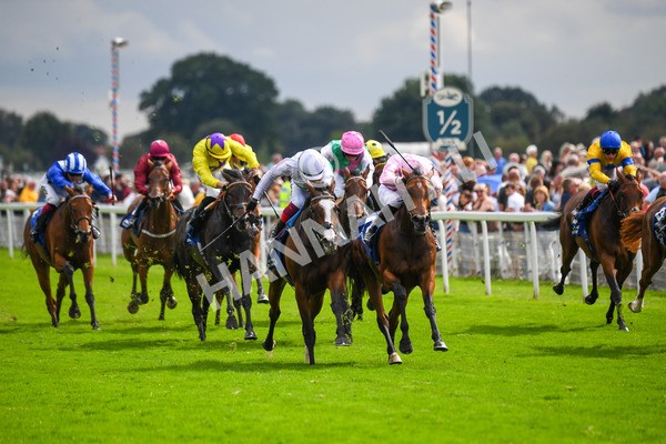240823-Race 4-Warm Heart-0516 - Race 4 3.35pm Pertemps Network Yorkshire Oaks