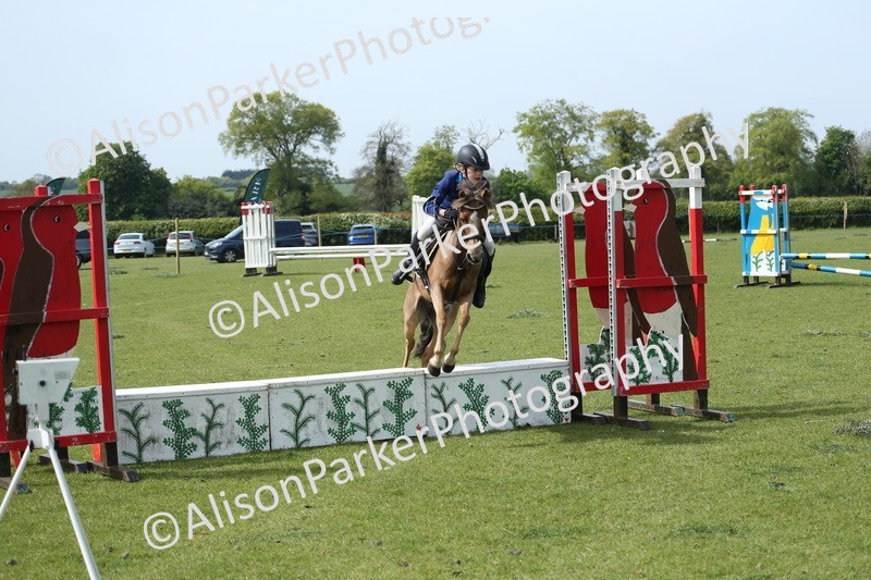 20260426-1737 - Class 14 - Novice 60cm