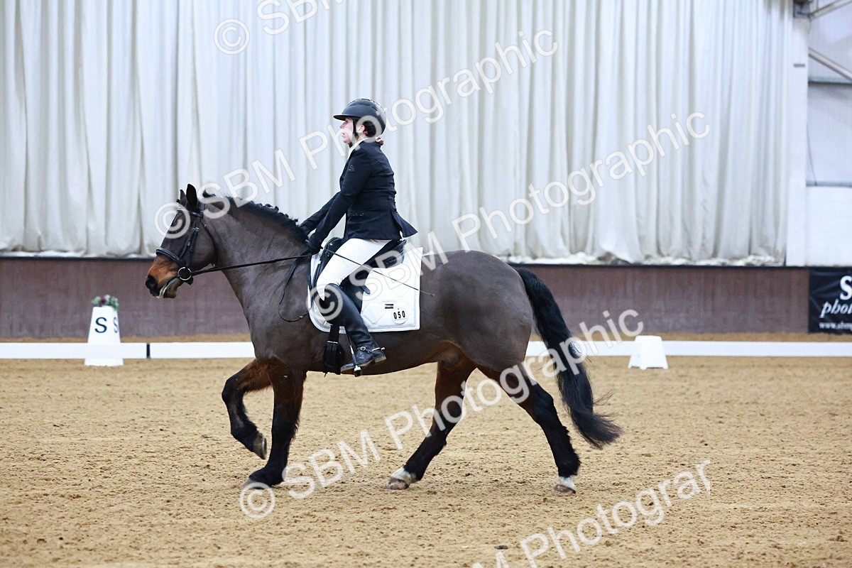 SBM_001591 - Novice Music