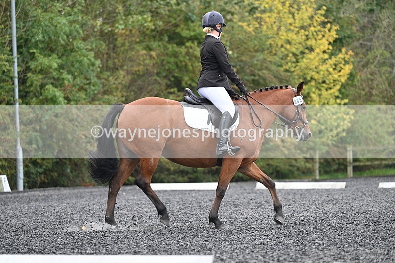 WJ7_2979 - Time 09:00 to 09:35