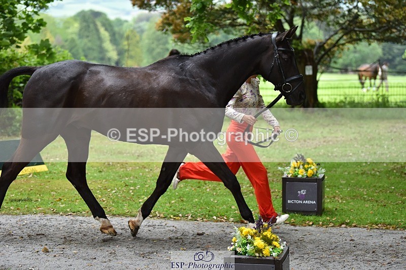 240522-162612-00918 - 206-SINGING_USK-Saskia_Davies