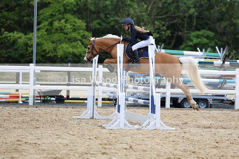 3E7A8508 - Class 13: Pony Discovery/90cm open