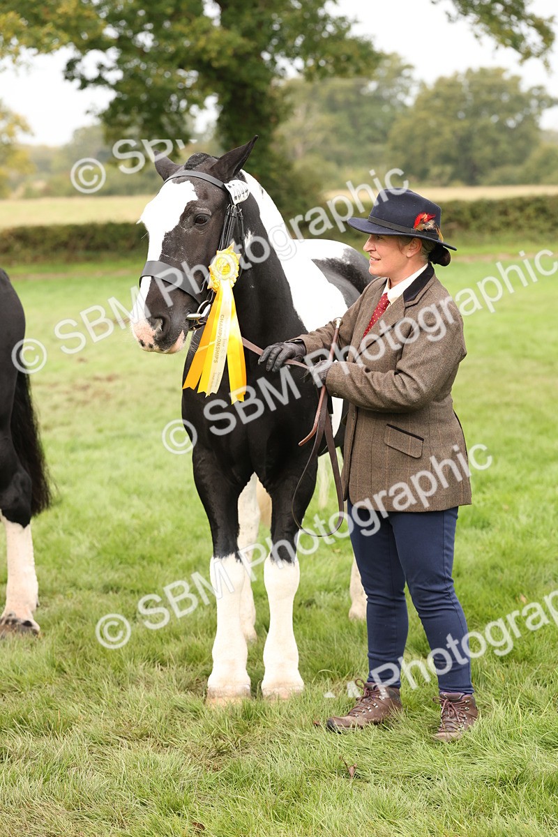 SBM_57535 - S56 - Show Cob in Hand