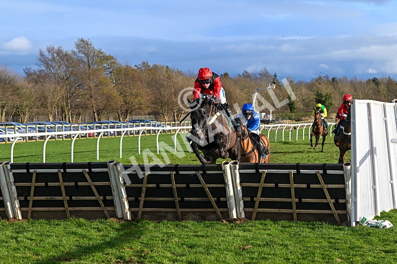 270224-Race 4-Wolfburg-3604 - Race 4