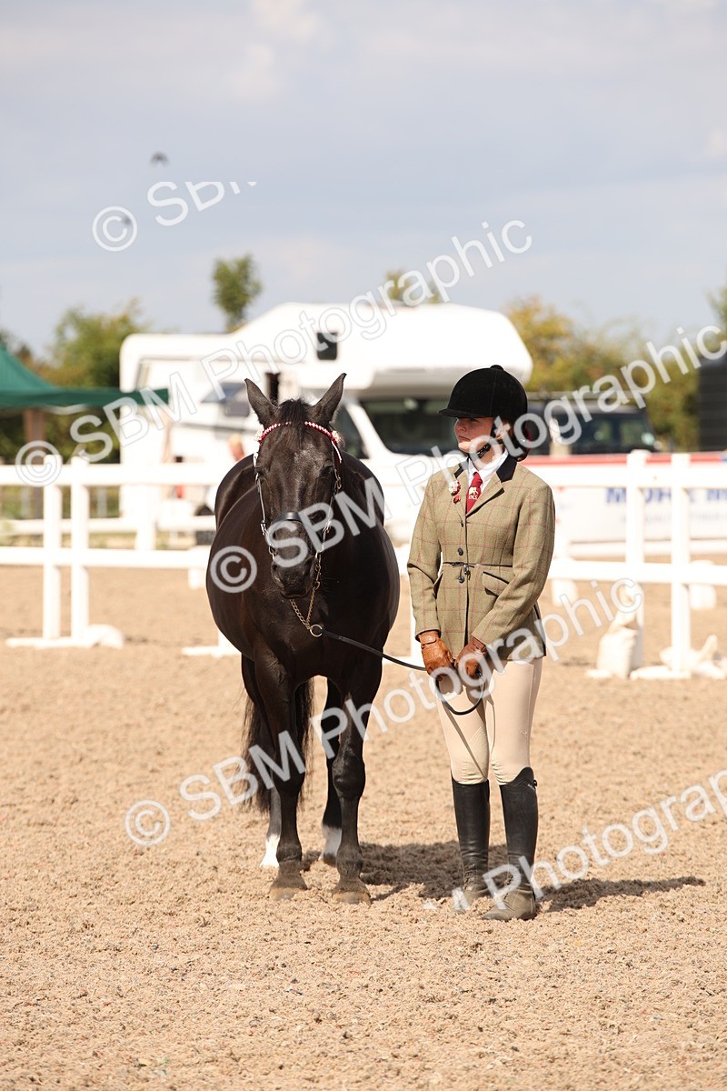 SBM_03790 - Class 19 Judge's Favourite