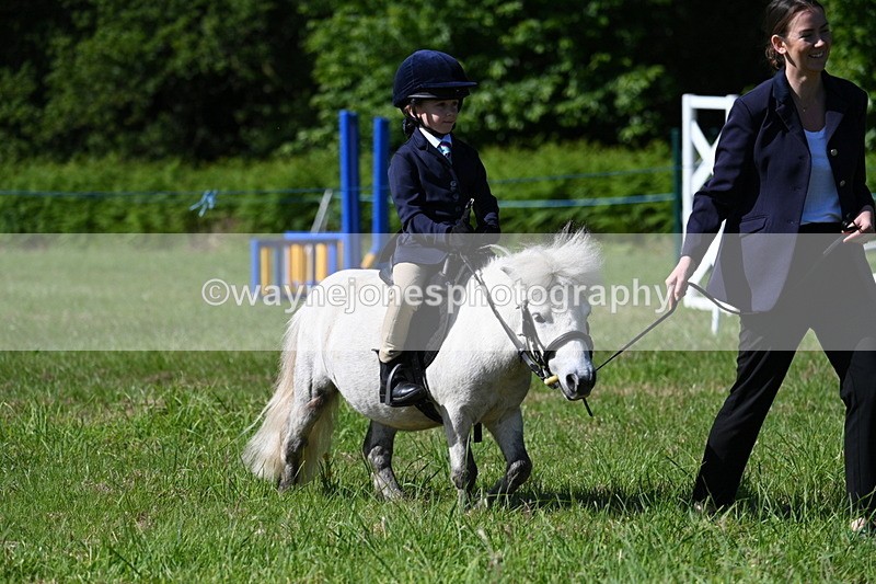 WJ7_0553 - Class 8 First Rally Pony