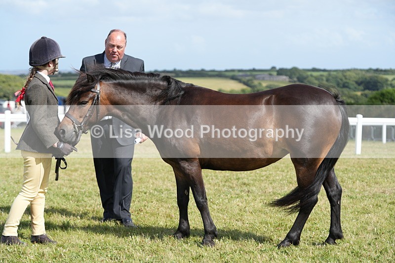DSC07640 - Class 62: Child Handler