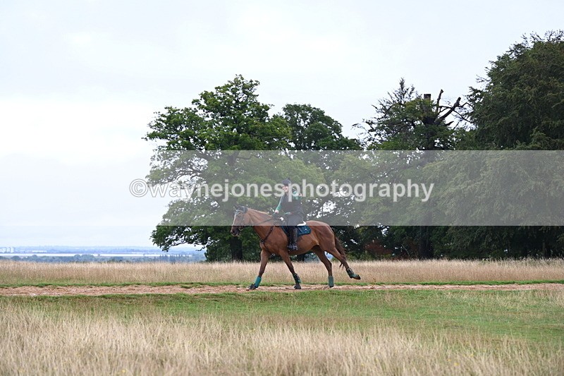 DSC_3737 - Time at Statue 13:51 to 14:55
