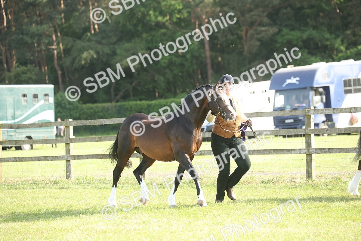 SBM_10410 - Class 33-38 - SSADL RIHS Qualifiers