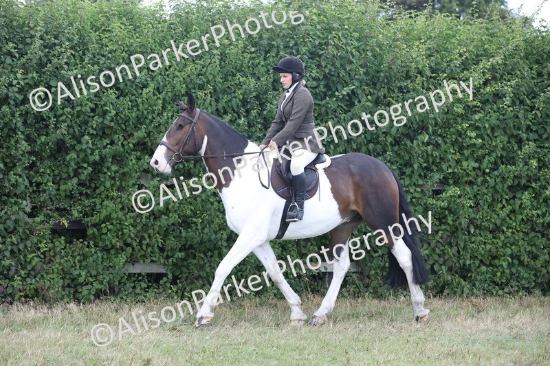 20250831-4261 - Class 20 - Ridden Coloured