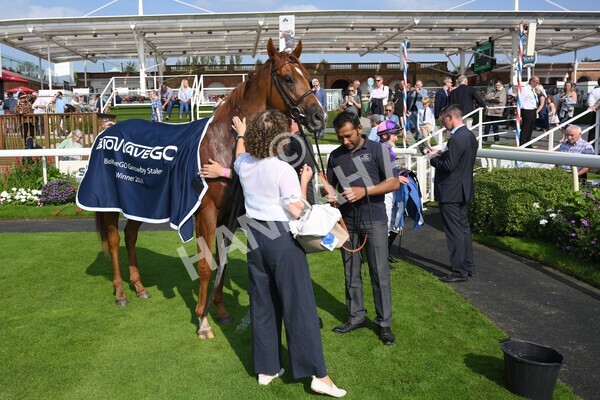 yr05092021r3-29 - Race 3 3.15pm The BioWaveGo Garrowby Stakes