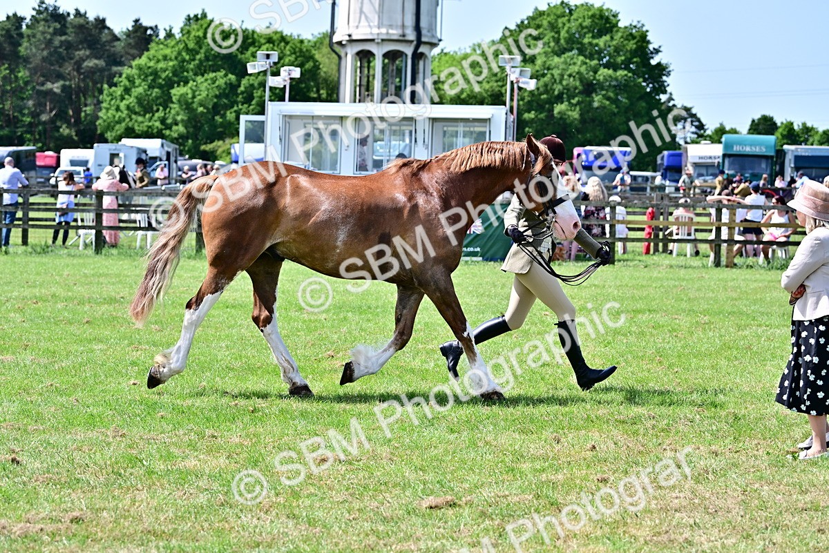 SBM_03915