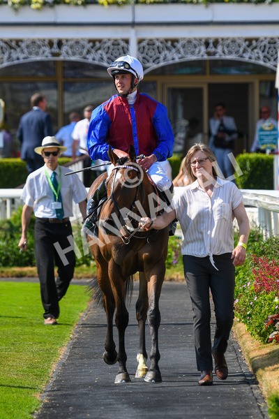 160623-Race 5-Harvanna-0610 - Race 5 4.10pm Juddmonte British EBF Fillies' Restricted Novice Stakes