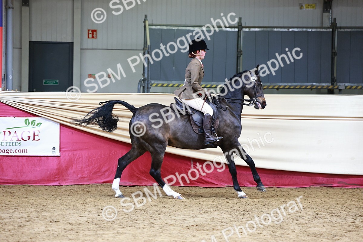 SBM_23523 - Class 904 - Supreme Final - Ridden Diamond