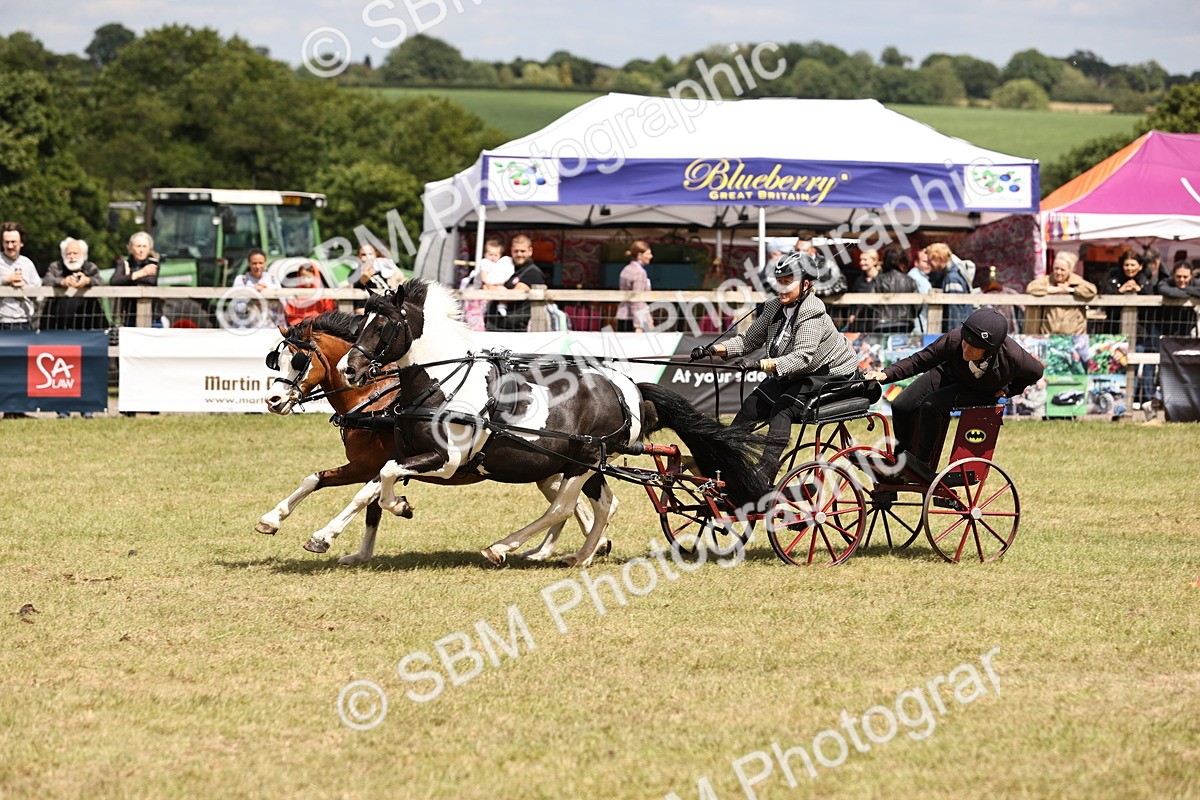 SBM_16038 - Class 91 - Scurry  exceeding 122cms