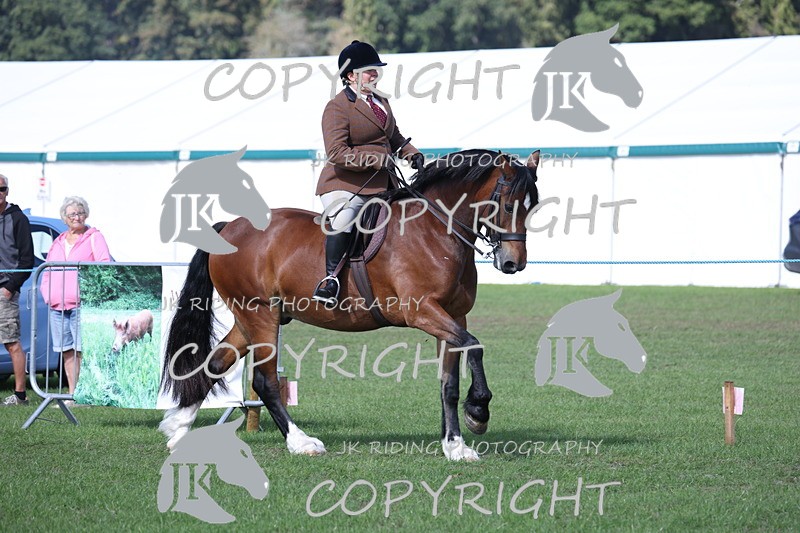 APP_3107 - Class 11 Veterans ridden