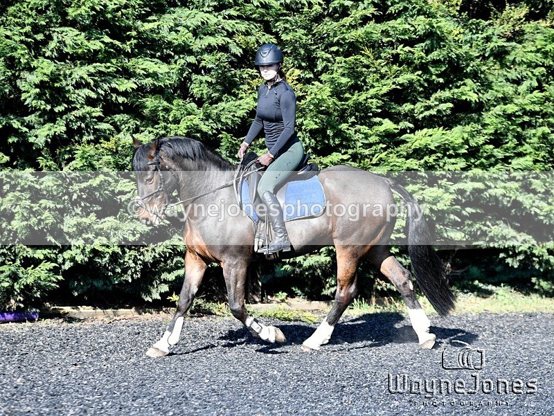 WJ5_0535 - Kelly Harris - Franklin balls, training at Tanners 05-04-25