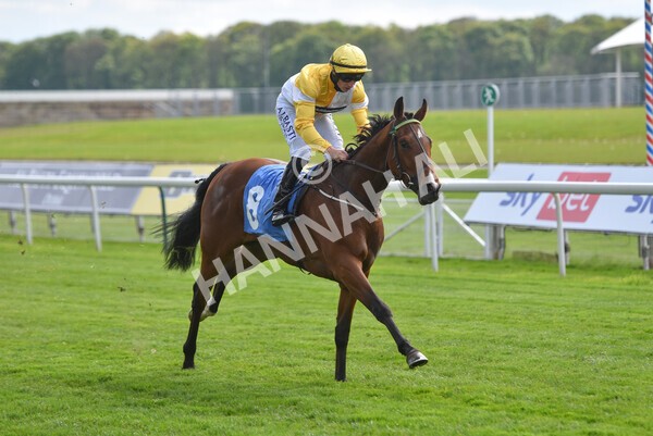 yr12052021r5-23 - Race 5 3.40pm Sky Bet Stakes