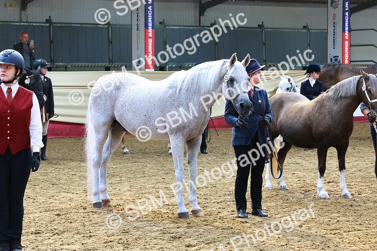 SBM_22413 - Class 902 - Supreme Final - IH Diamond