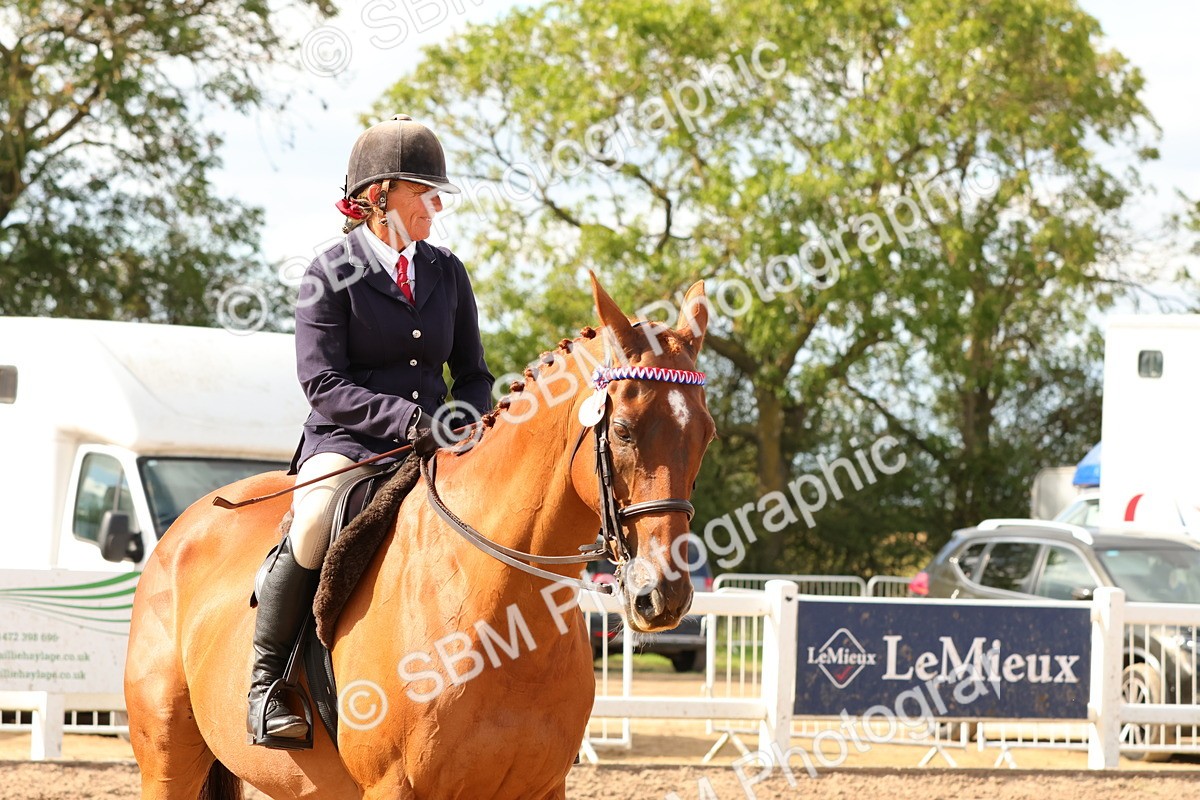 SBM_16280 - Class 217 - Ridden Retired Racehorse