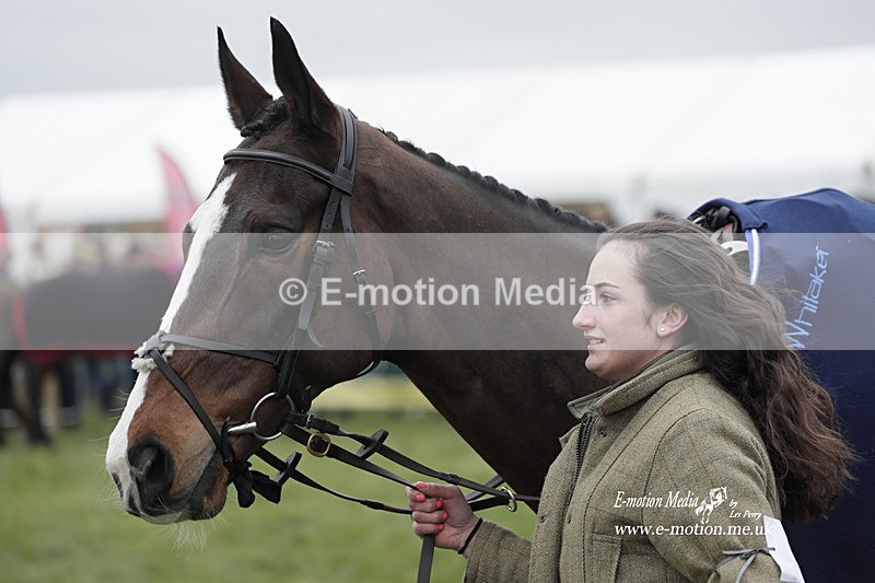 PtP 050323 368 - Blackmore & Sparkford Vale Hunt PtP - Somerset 05/03/23