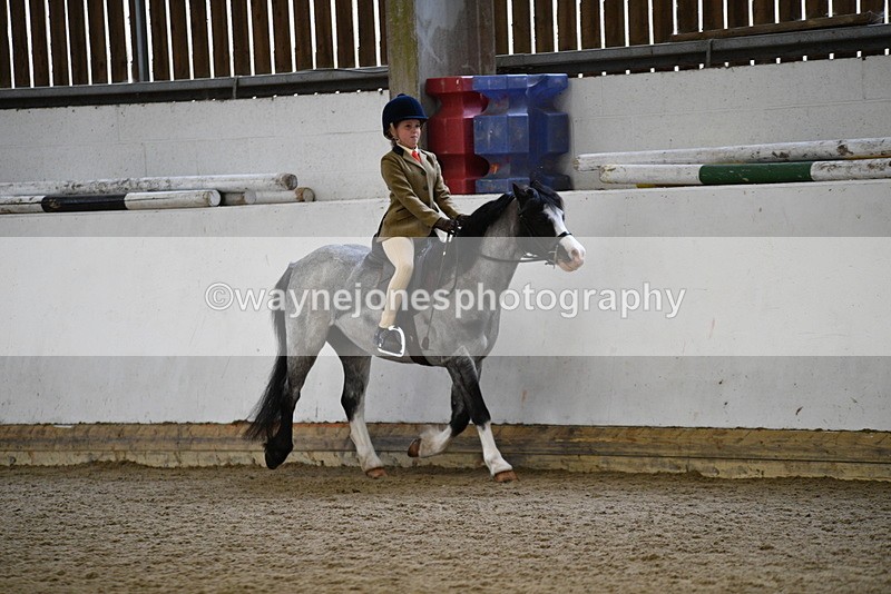 WJ5_6515 - Class 10 Childs Pony