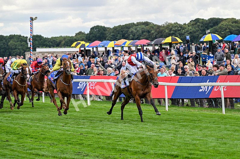 210826-Race 1-Blue Courvoisier-4956 - Race 1 13.50pm Sky Bet Mile Handicap