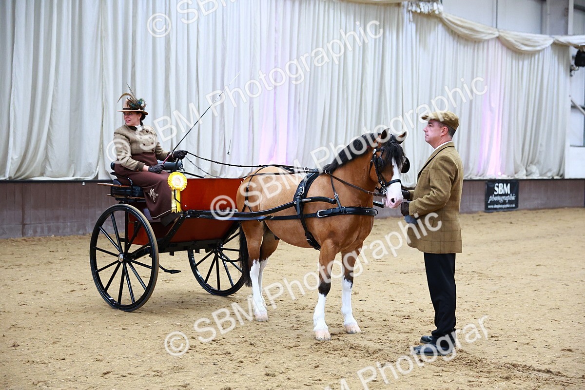 SBM_000213 - Class 3 - Alison Thomas Memorial Lady Whip