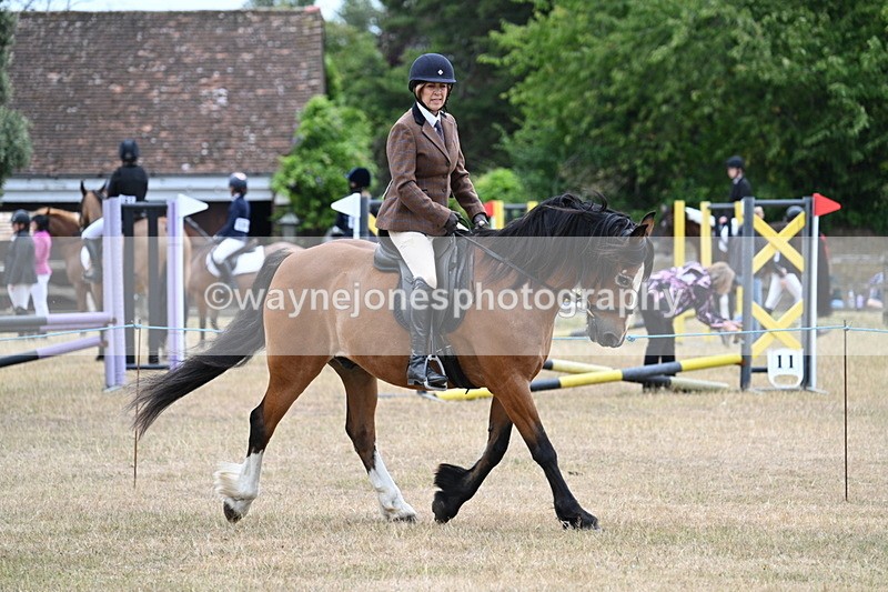 WJ7_0530 - Class 6 Ridden Mountain and Moorland