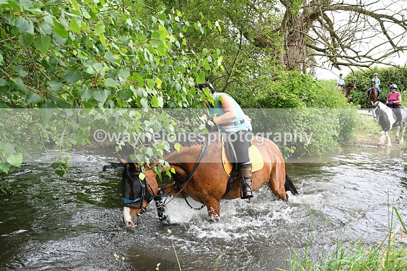 WJ7_2479 - Camera 2 Water Crossing