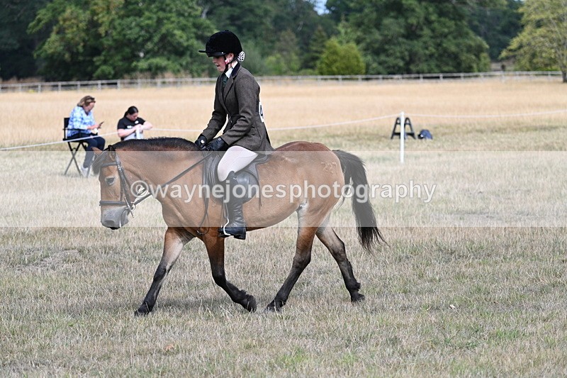 WJ7_6018 - Class 13 Ridden Veterans