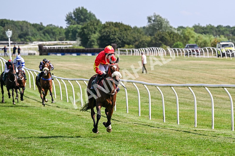 080726-Race 5-Sugarpiehoneybunch-7551 - Race 5 16.00pm Bet At racingtv.com Handicap