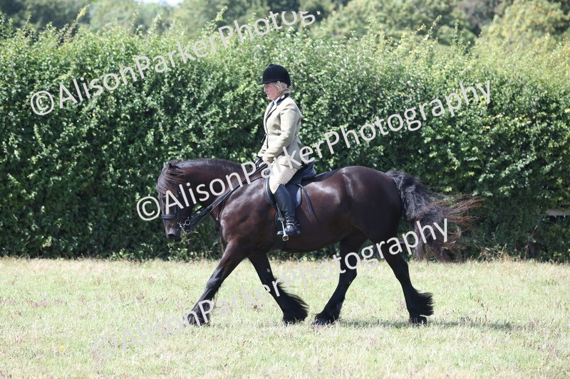 20250831-2960 - Class 19 - Mountain and Moorland