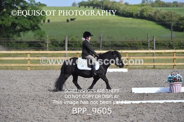 BPP_9605 - SHORT ARENA MY QUEST INTRO