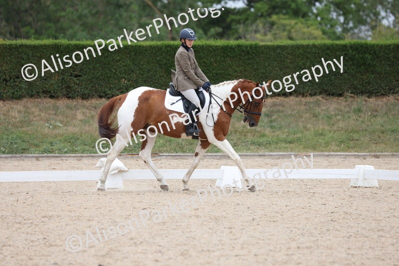 20250705-0408 - Class 5 - Novice 2