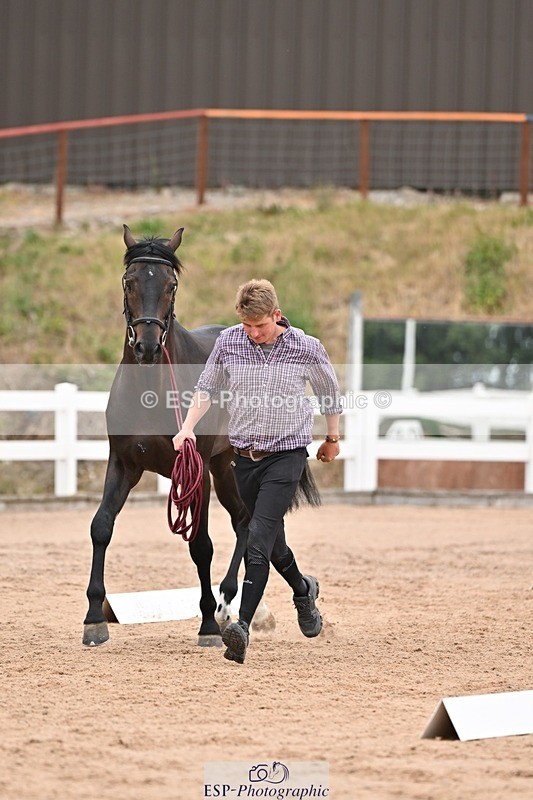 250716-160347-02377 - Trot Up 3.30 to 4.30