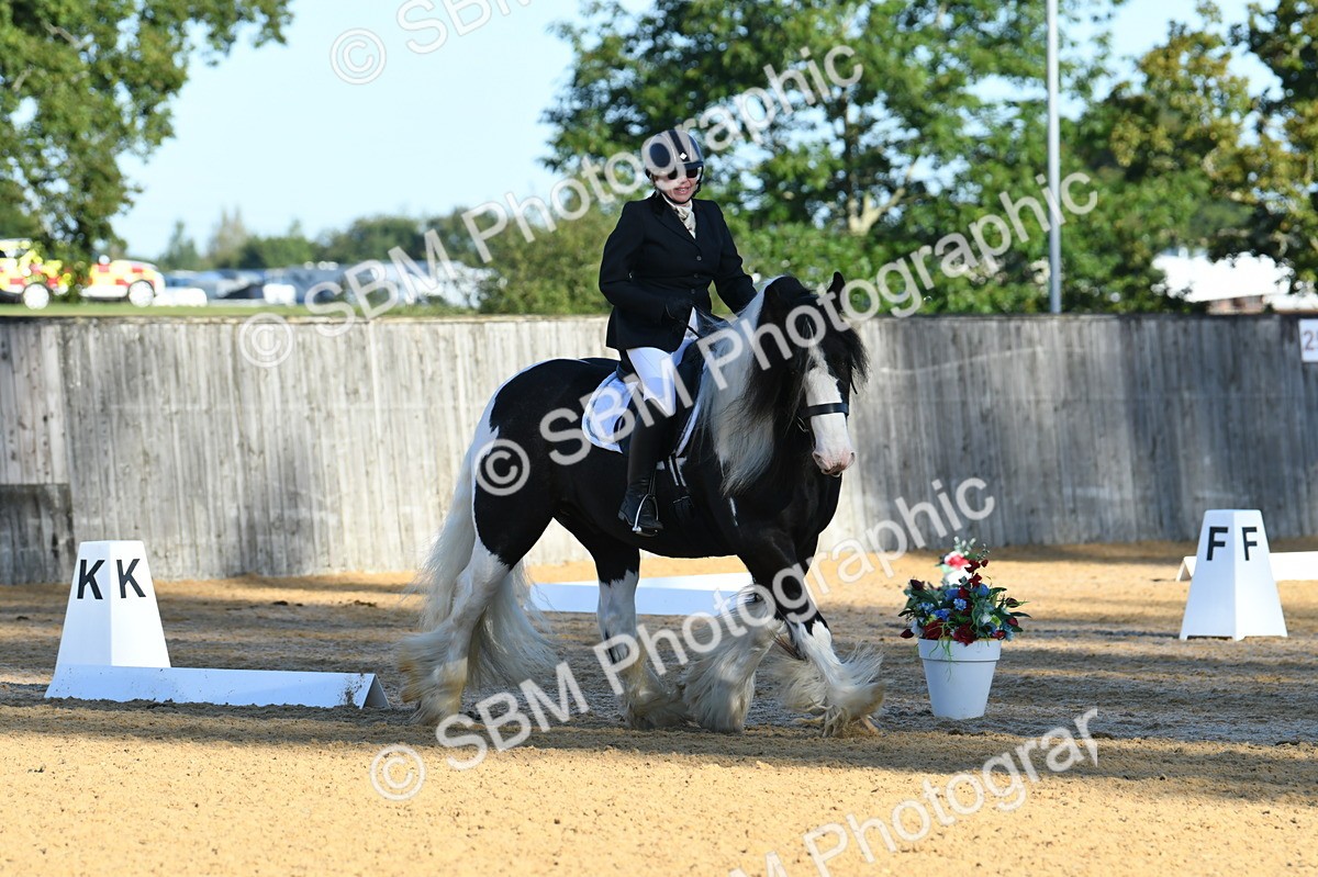 SBM_14462 - D4 - Small Tour Championship - Intro B