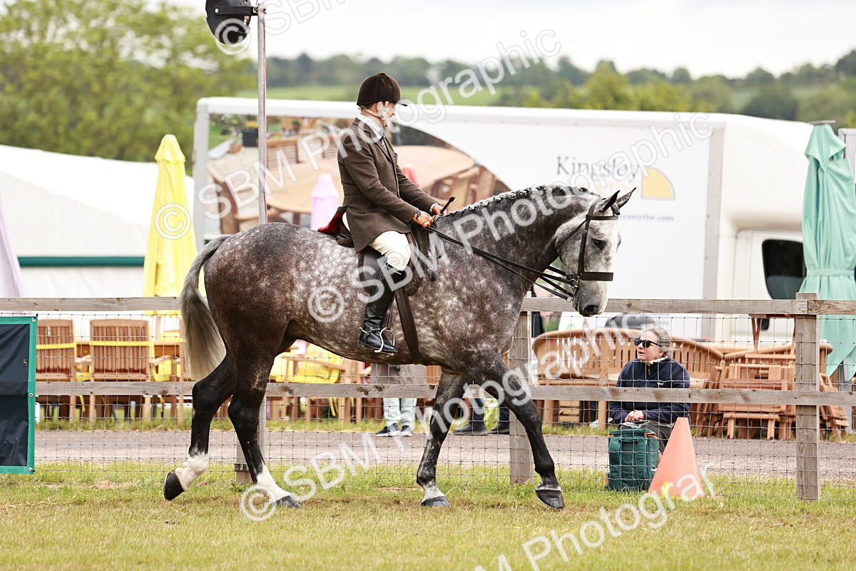 SBM_10902 - Class 81-84 - RIHS Ridden hunters Inc Ladies Hunter