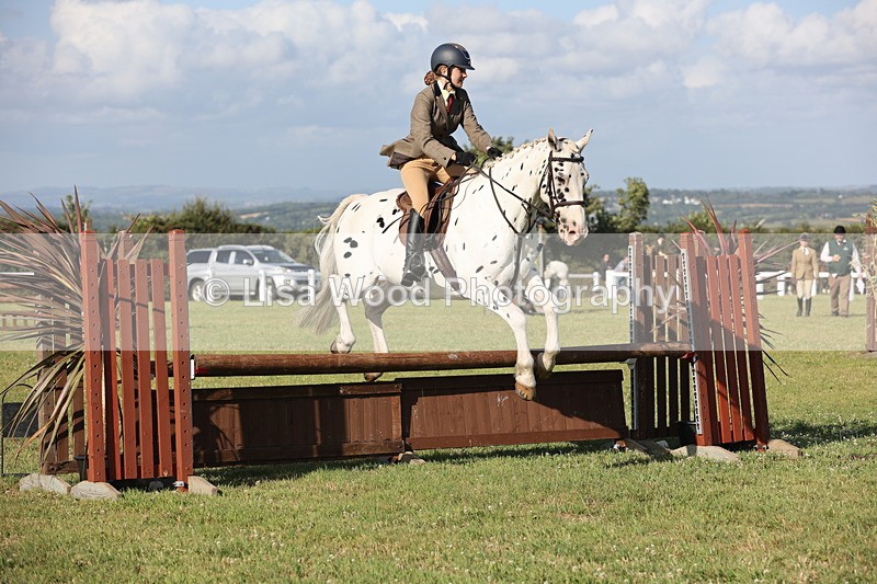 JPP_3158 - Class 21: Working Hunter 80cm