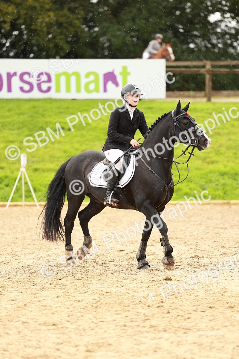 SBM_38433 - Supreme Championship 80cm 85cm