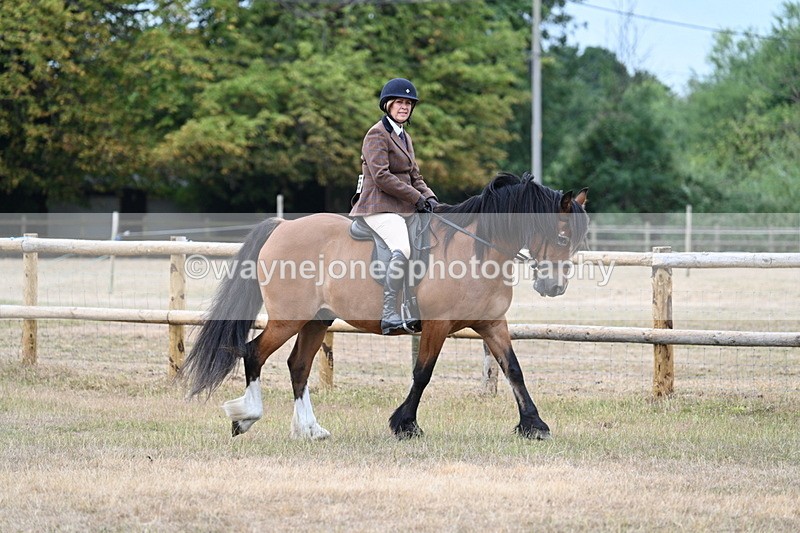 WJ7_0652 - Class 6 Ridden Mountain and Moorland