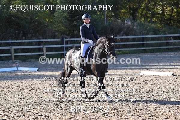 BPP_9472 - LONG ARENA