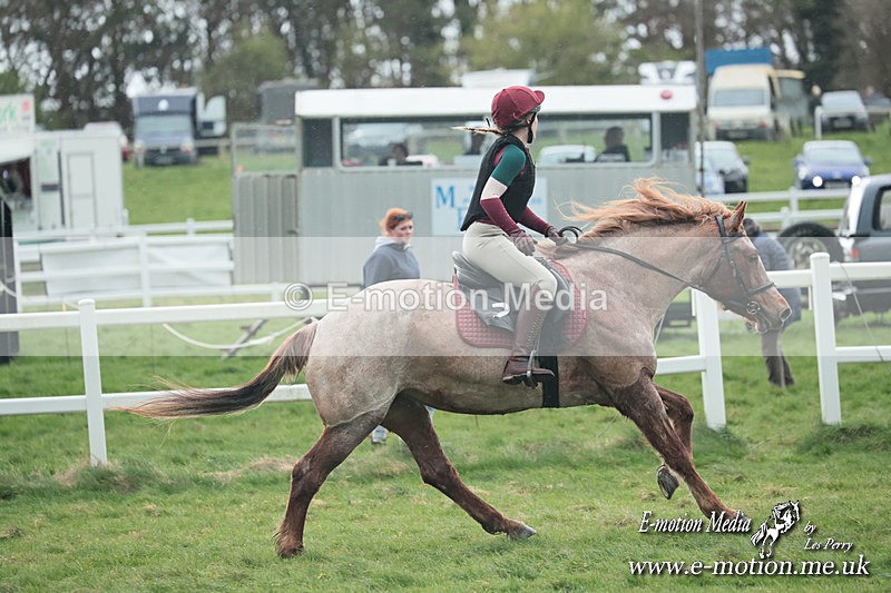 PtP 230324 186 - Tedworth Hunt PtP Larkhill Raccourse 23rd March 2024